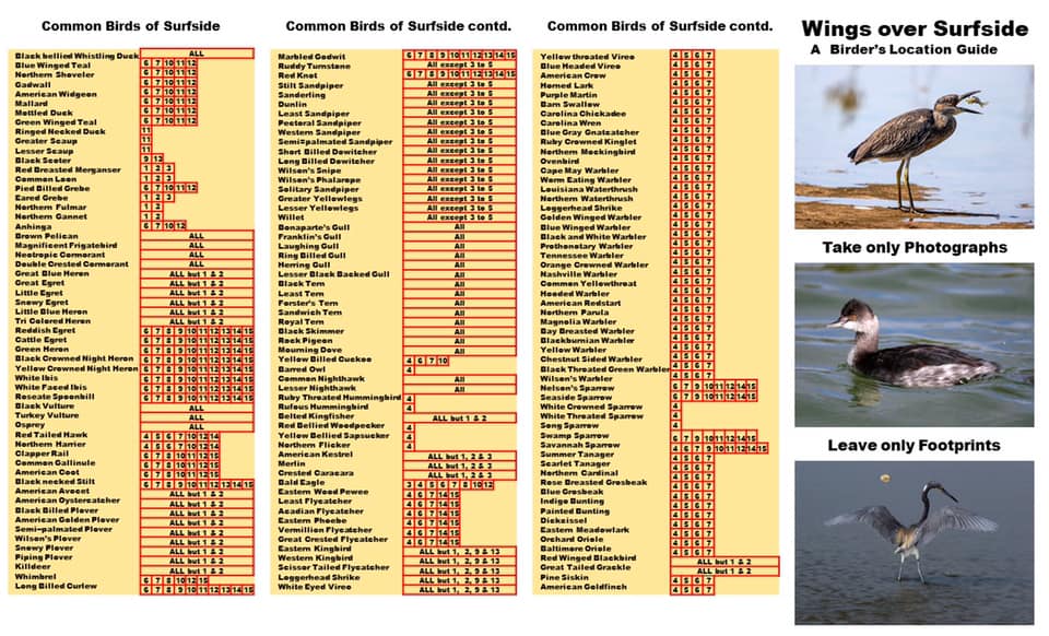 bird chart